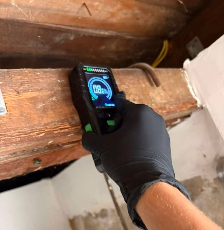 Why attics are a mold inspection priority